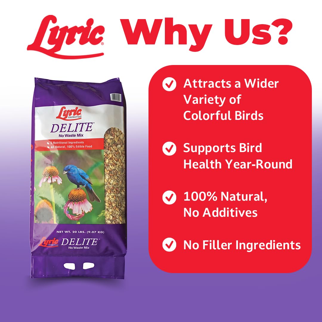 Amazon.com: Lyric Wild Bird Food: Mixes