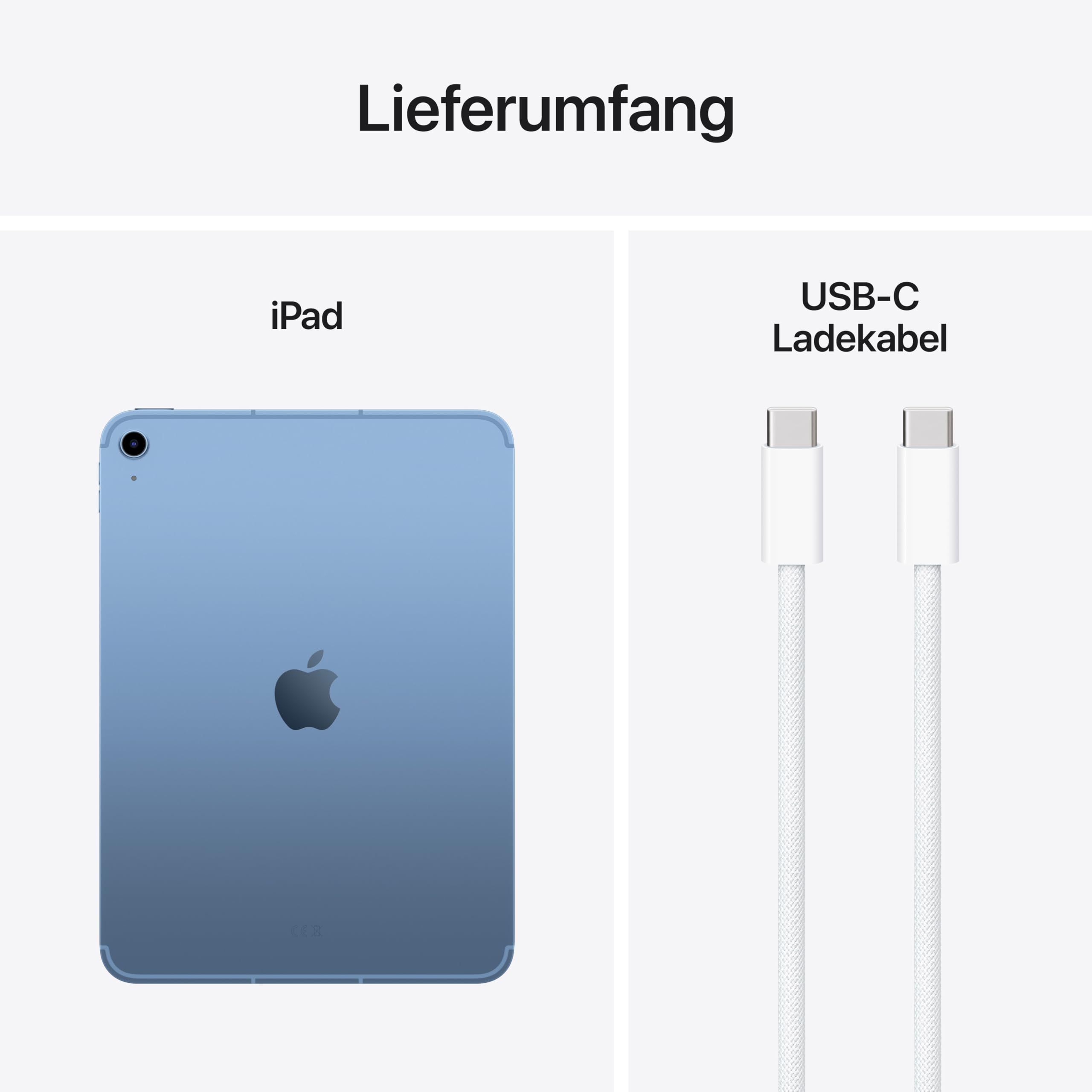 Apple iPad 11 Wi-Fi + CellularB Blau - (A16) 256 G – Bild 6