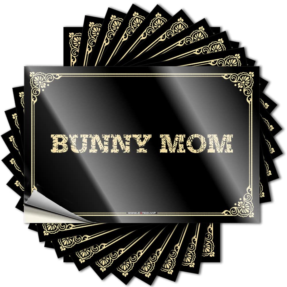 Sticker - Tall Laptop Bunny Mom for Outdoor Halloween(12X18CM)