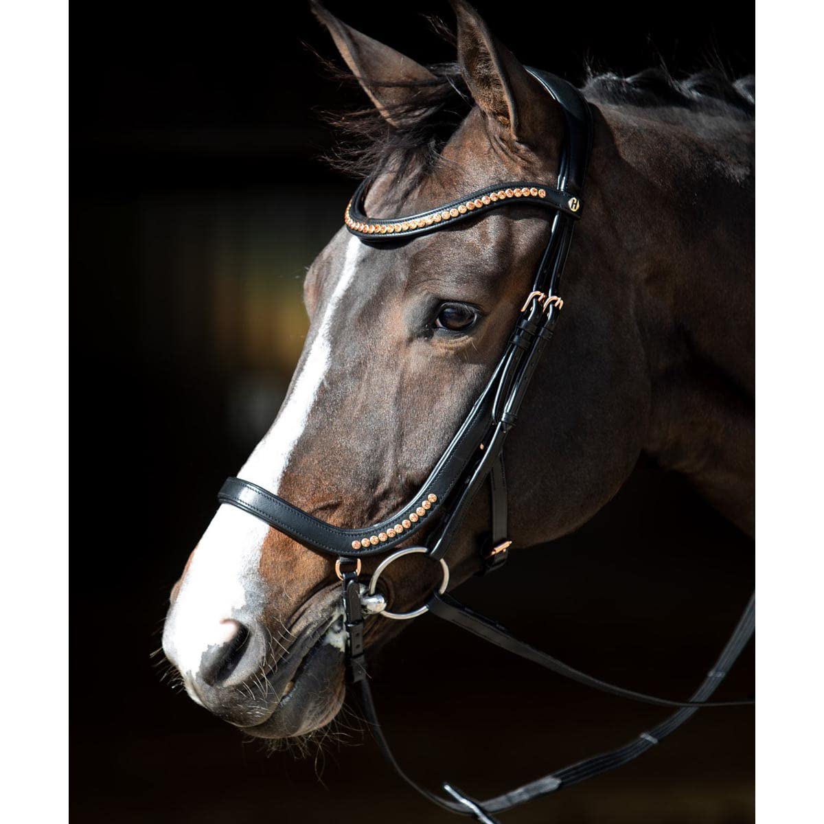 Harry's Horse Bridon Rosegold Anatomic - Noir-doré - Cheval
