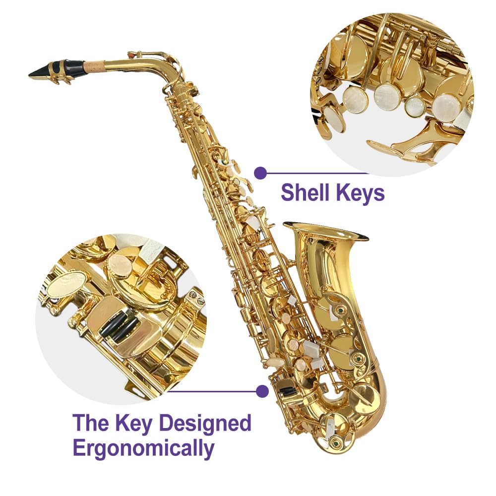 Sassofono contralto E Flat per adulti studenti Sax Mib Alto Kit completo con custodia per sax per il trasporto Bocchino cinghie ance sassofono kit per principianti
