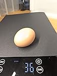 Review Image by Amazon Customer