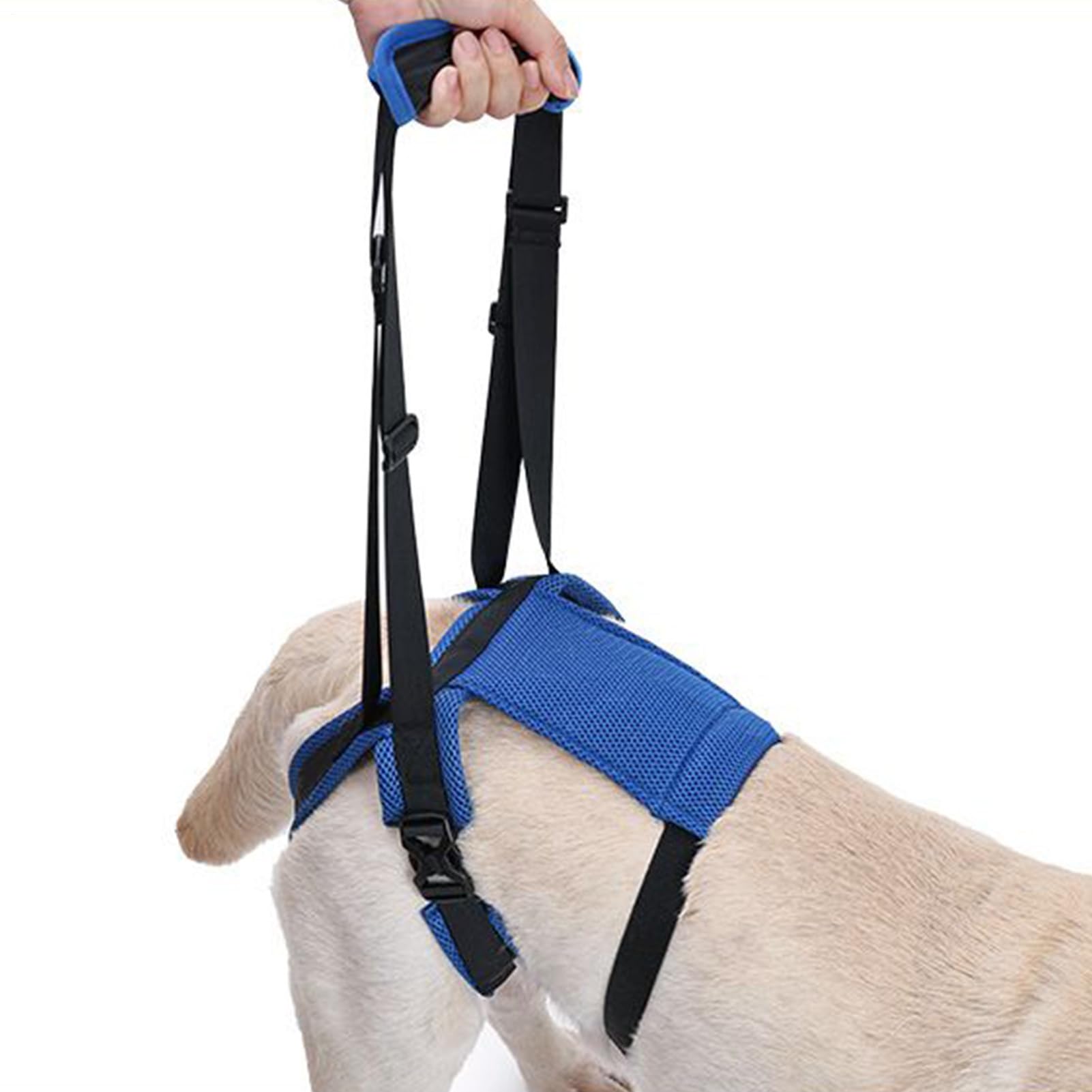 Sangle de levage pour chien âgé harnais de portage réglable