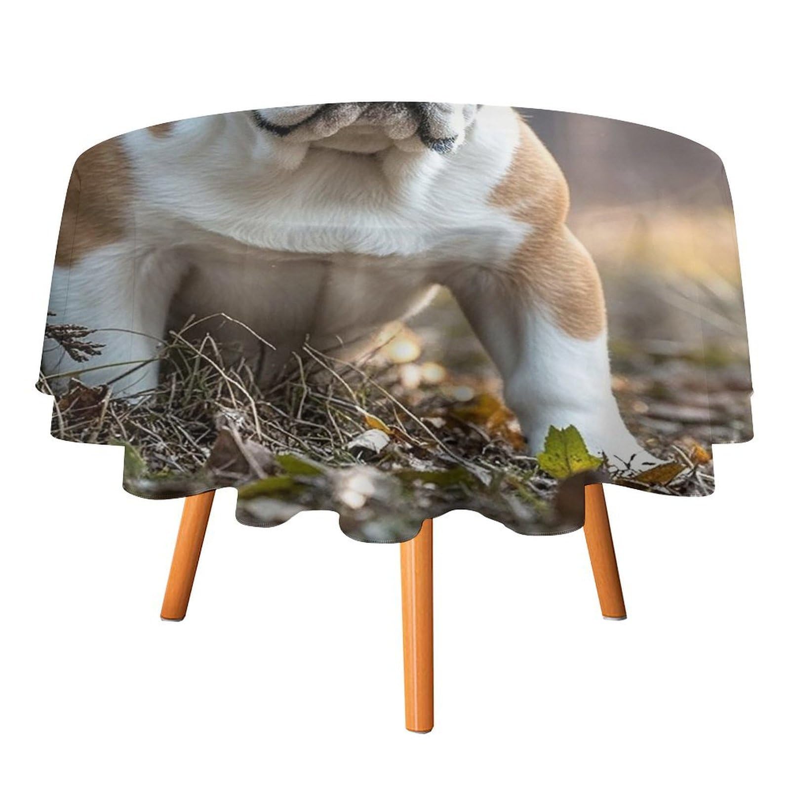SMAZDFXX English Bulldogs Tablecloth 36x36in Round Table Cloth Durable Polyester, Washable Stain Resistant Table Cover for Indoor Outdoor (Picnic, Dining, Party)