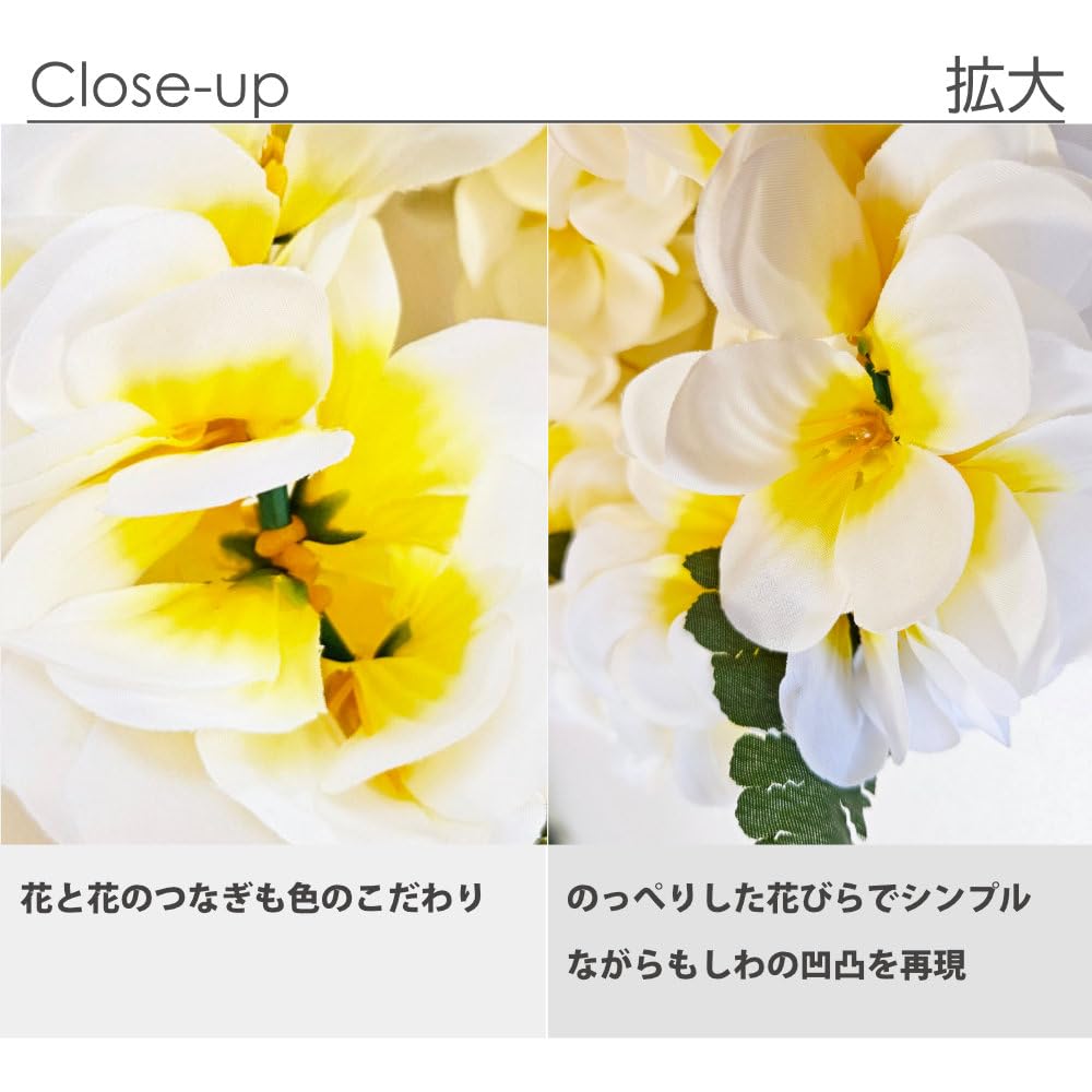 Amazon.co.jp: フラダンス ハクレイ レイポオ ヘッドバンド プルメリア