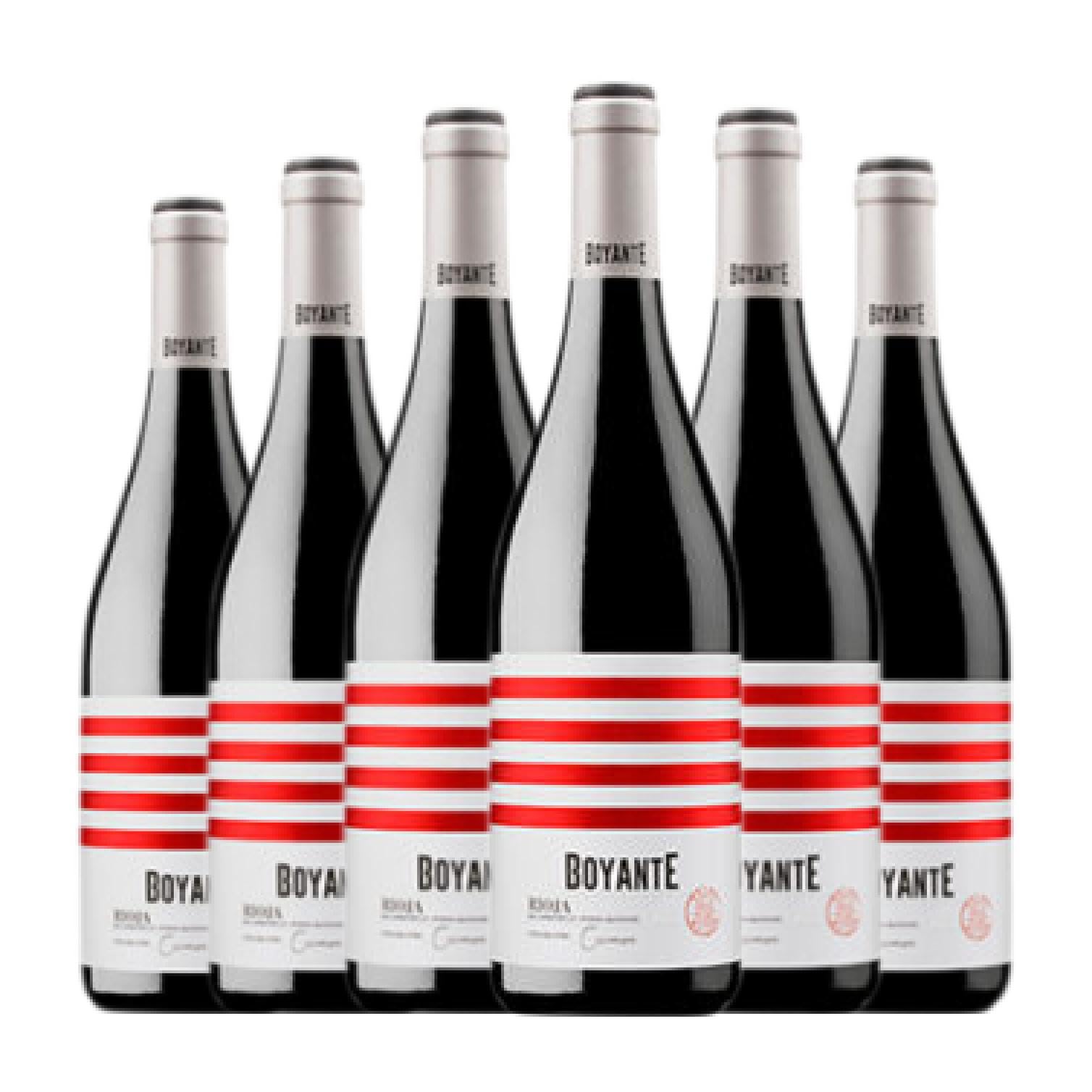 Boyante Rioja Crianza 75 cl Vino tinto (Caja de 6 Botellas de 75 cl)