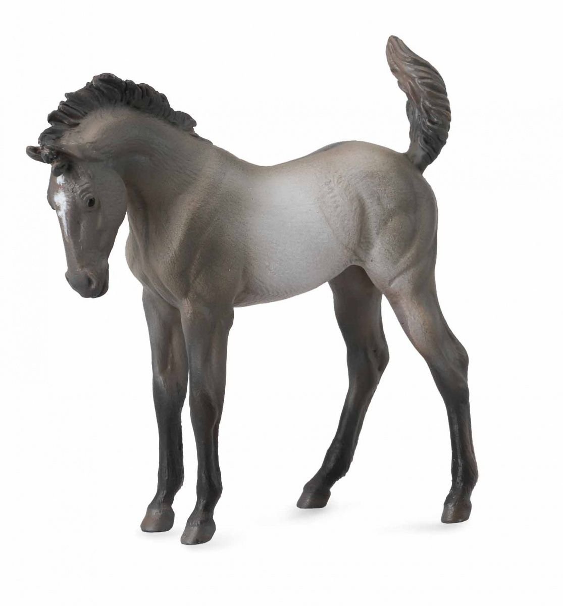 CollectaMustang Foal, Grulla