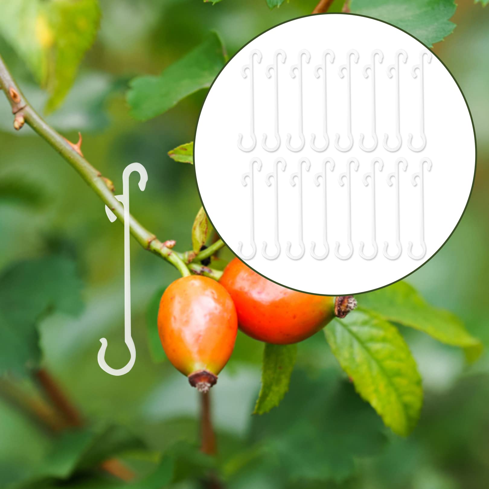 50 Grandi Clip Da Giardino Per Pomodori, Rose, Cetrioli E Altre Piante Rampicanti Clip Resistenti Per Fissare Le Piante Rampicanti 88637964