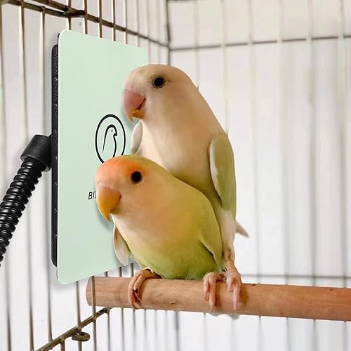 Miniatura 8 de Kokopro Calentador de pájaros para jaula calentador de pájaros para pájaros exóticos 2 tamaños gris africano periquitos loros