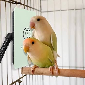 Amazon | 鳥 ヒーター インコ とり暖寄りそいヒーター 鳥用