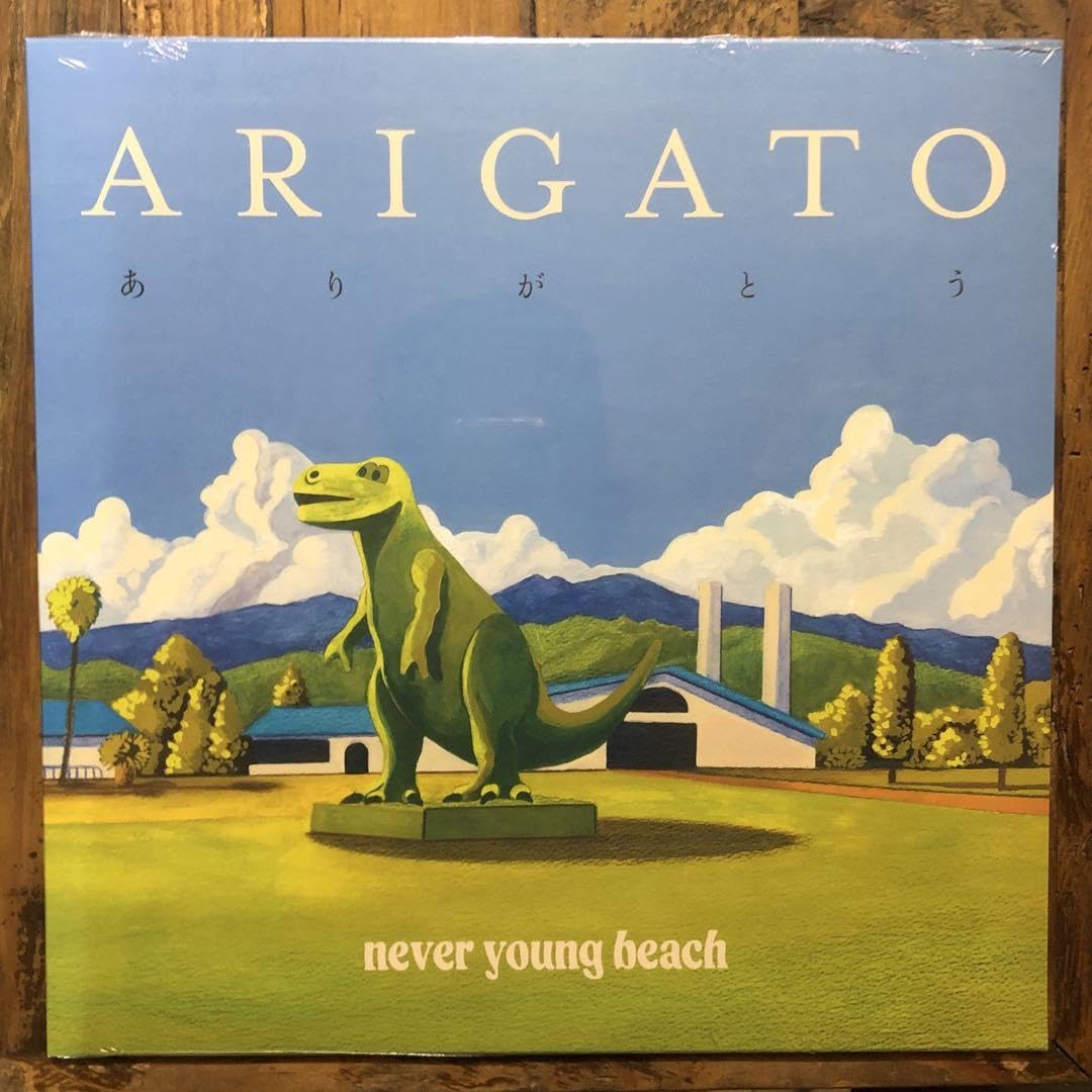 Amazon.co.jp: 安倍勇磨never young beachレコードSET : ホーム＆キッチン