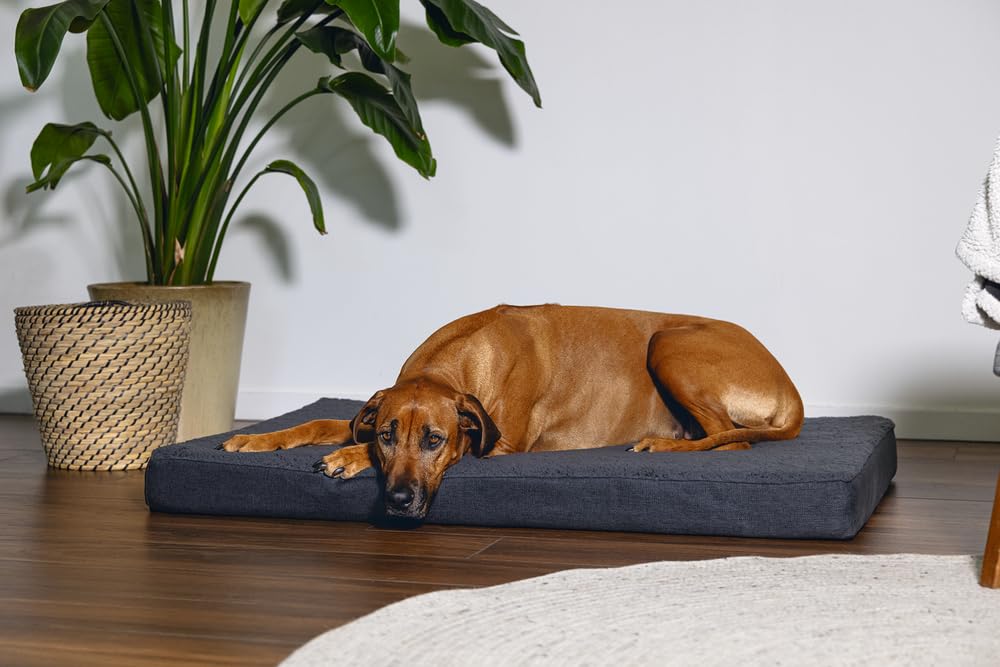 Beeztees Zira, lettino ortopedico per cani, grigio scuro, 100 x 70 x 9 cm