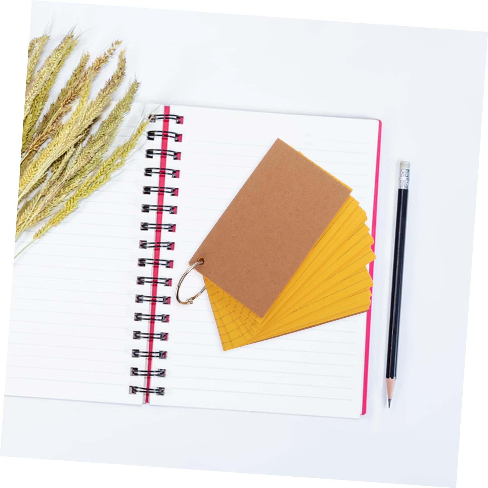 SEWACC 10 Stück Teiliges Karteikarten mit Ringen Beidseitig Linierte Lernkarten aus Stabilem Kraftpapier für Studium Arbeit und Meetings Einfach zu Organisieren und