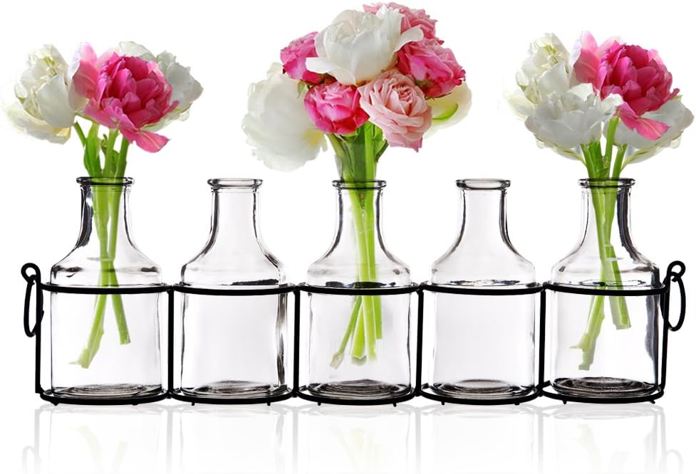 Set of 5 Clear Glass Mini Vases in Black Metal Rack, 5-Inches, Decorative Centerpiece for Flower Arrangements