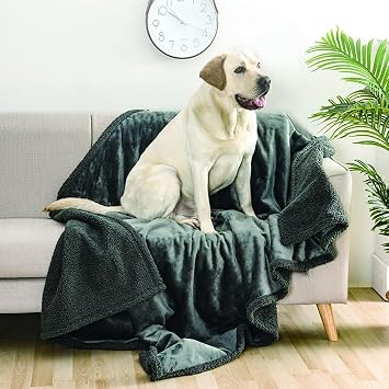 The Waterproof Blanket,Waterproof,Waterproof for Couples (Gray,S: 28 * 40 in)