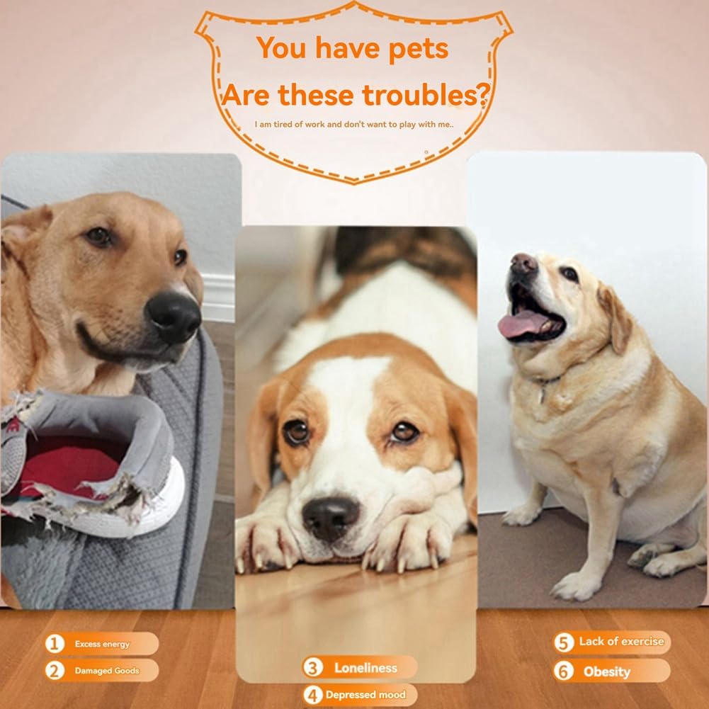 Lanceur de Balles de Tennis Automatique Rechargeable pour Chien - Jouet D'Entraînement pour Animaux de Compagnie avec Distance de Lancement Réglable 3 Balles Incluses