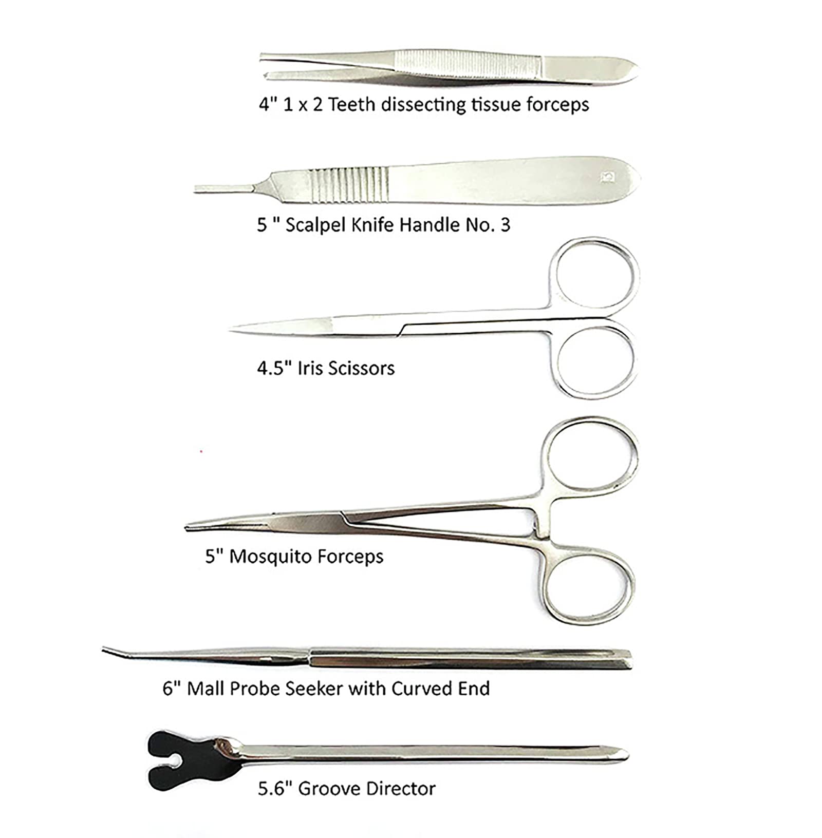 Kit De Disección De 22 Piezas Para Laboratorio De Biología, Kit De Disección De Hojas De Acero Inoxidable, Con Hojas De Bisturí, 1 Par De Guantes Grandes Y Estuche De Almacenamiento Organizador.