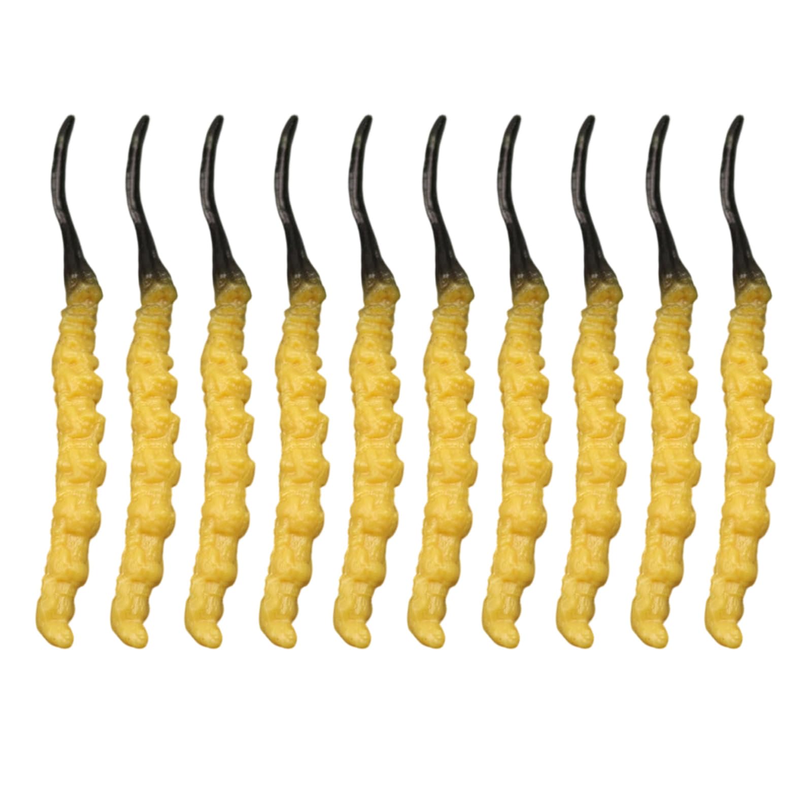 Limtula Realistic Wild Cordyceps Simulation Model for Home Decoration and Educational Display Chinese Medicinal Plant PVC Fraudulent Cordyceps