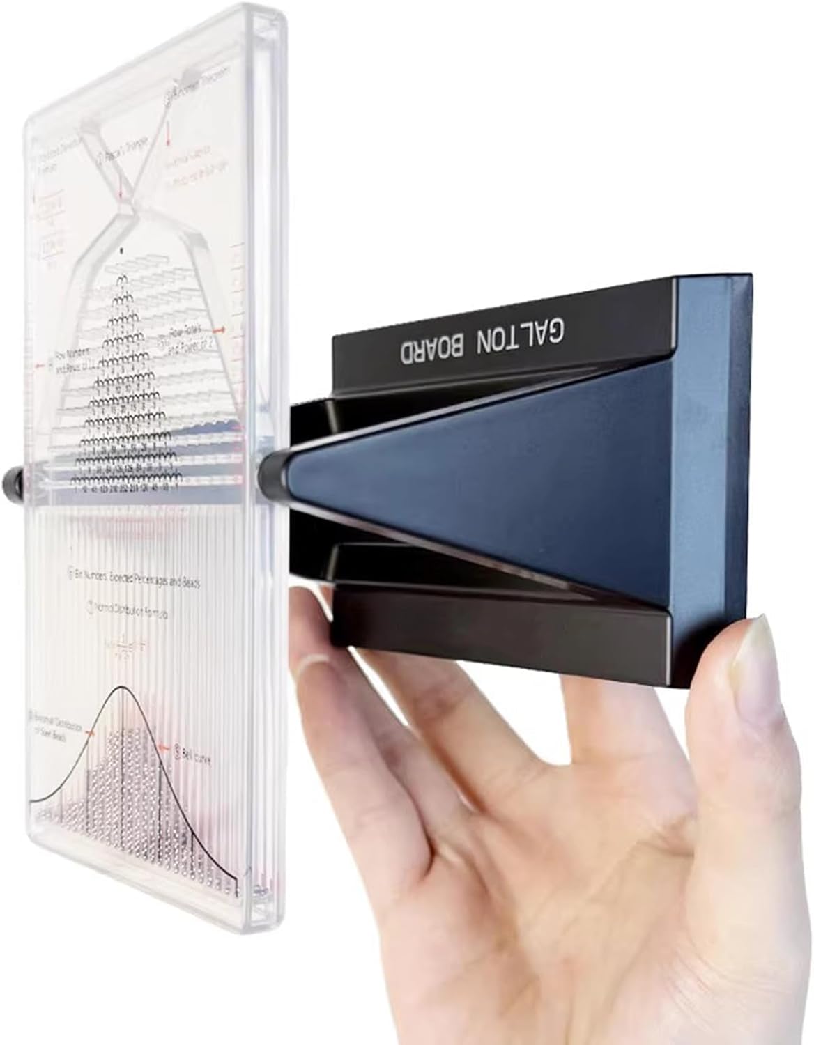 Desk Galton Board, Physical Experiment Model Galton Board, with Bell Curve, Effective Statistical Law Demonstration, for Physics and Education