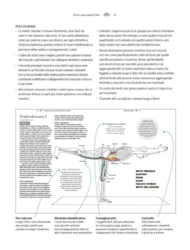 Anatomia Dello Yoga Da Colorare. Posizione Per Posizione. Ediz. Illustrata - 3