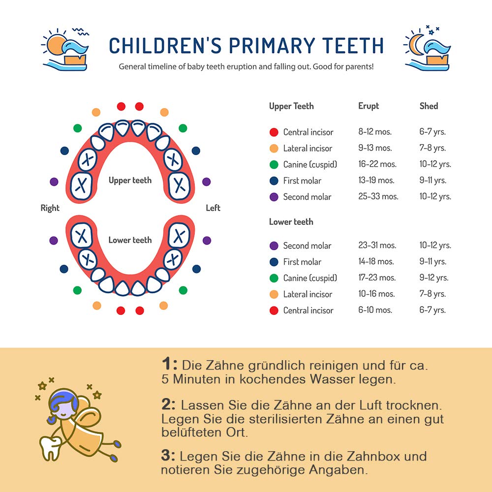 Scatola Porta Denti Da Latte In Legno - Per Conservare I Ricordi Dell'Infanzia - Foto 6