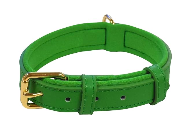 Foto 2 de 6 de Collar de perro ajustable de piel auténtica vibrante con acolchado de neopreno suave