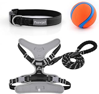 Verstellbares Hundegeschirr