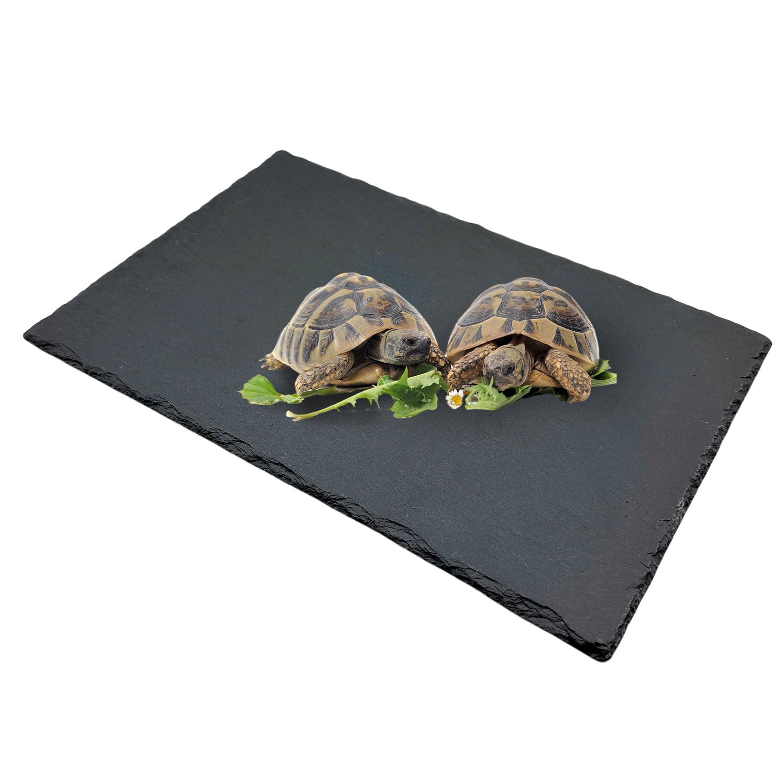 Reptile Basking Platform Turtle Rock Plate 11.8''X7.8'' Feeding Platform Food Bowl Slate Dish Bathing Rock Resting Terrace for Lizard Bearded Dragon