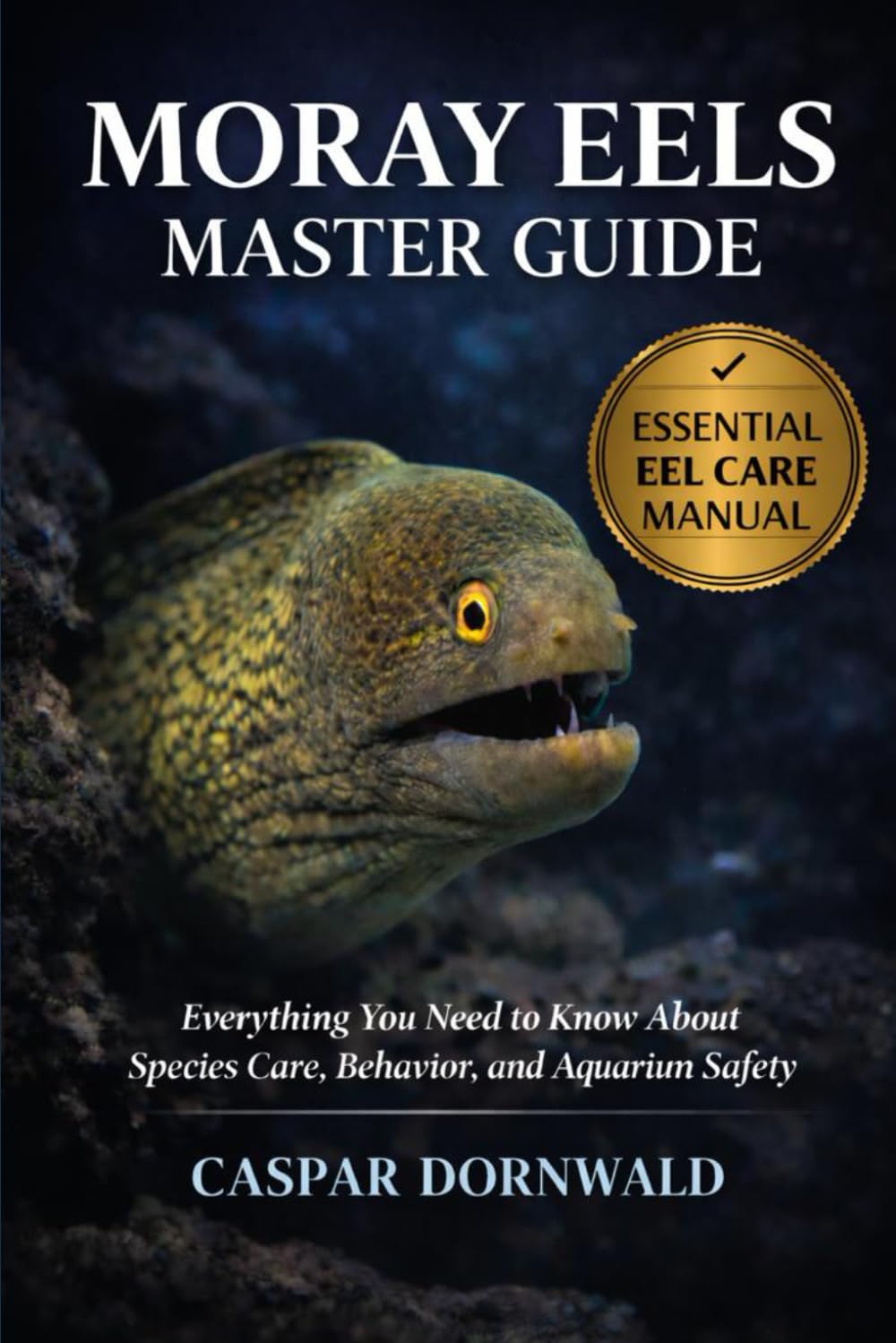 MORAY EELS MASTER GUIDE: Everything You Need to Know About Species Care, Behavior, and Aquarium Safety