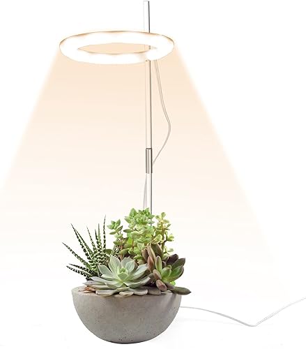 Miniatura 1 de MISNODE One Head - Juego de luces LED para cultivo de suculentas, lámpara de anillo de ángel USB para suculentas, lámpara de cultivo de plantas de