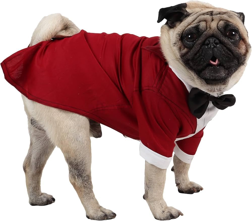 See full amazon price history chart for Bhumi Enterprises Dog Tuxedo Dog Dress Dog Suit or Dog Tuxedo Dogs Wedding Party Suit Dog Wedding Bow Tie Shirt Formal Dog Weeding Maroon (14) Bhumi Enterprises Dog Tuxedo Dog Dress Dog Suit or Dog Tuxedo Dogs Wedding Party Suit Dog Wedding Bow Tie Shirt Formal Dog Weeding Maroon (14) (B0BM7Y7X6W) Amazon Price History, Amazon Price Tracker