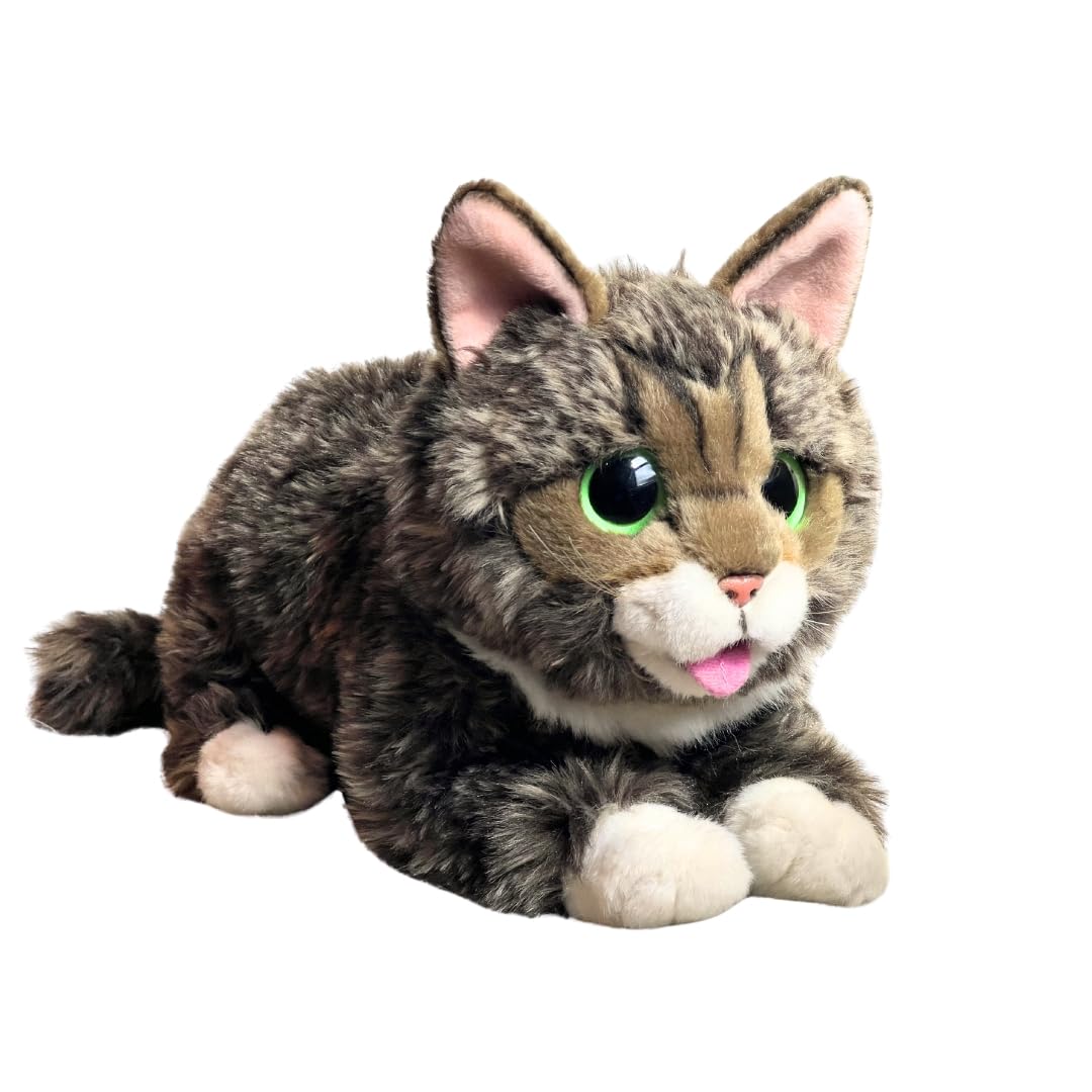 Lil BUB | Soft Adorable Kitten Stuffed Animal Plush Toy, 10 inches