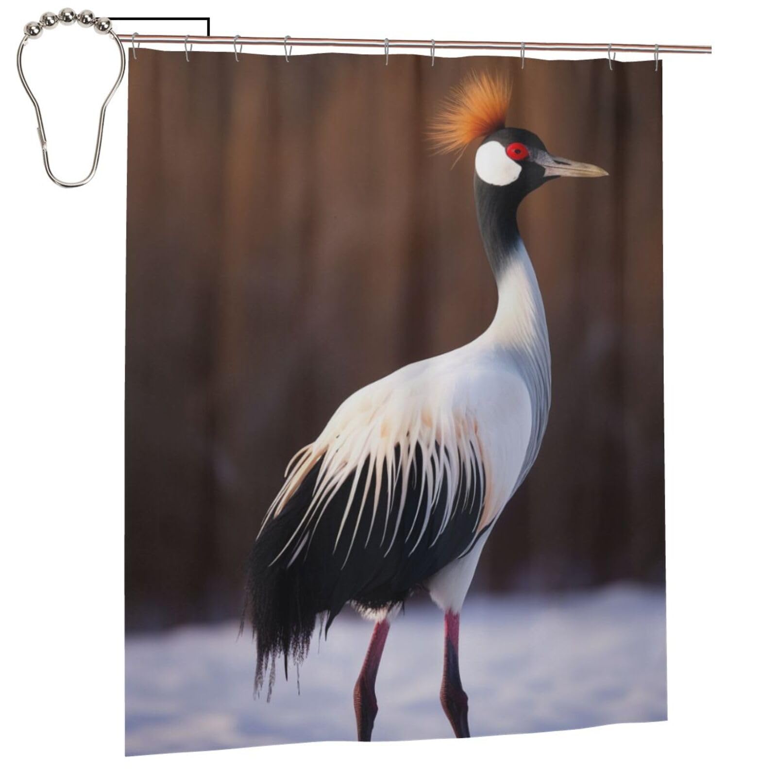 BWWHCCTI Crowned Bird Printed Shower Curtain With 12 Iron Hooks Opaque Quick Drying Waterproof Shower Curtains Sets For Bathroom 152x183 Cm