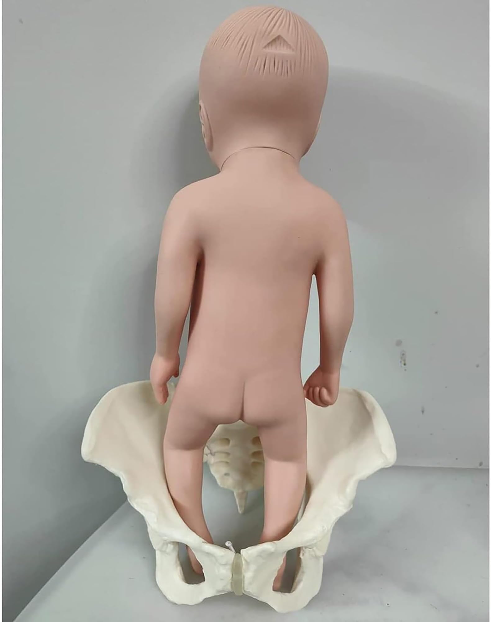 Model szkoleniowy położnej, model silikonowej lalki miednicy żeńskiej z miednicą i łonem miednicy, miednica Poród Ginekologia Nauczanie modelu medycznego(Color:Male)