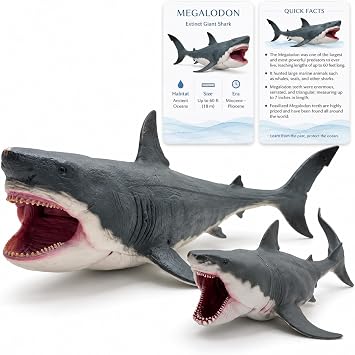 Megalodon Shark Figures, 2-Pack with Movable Jaws and Learning Card
