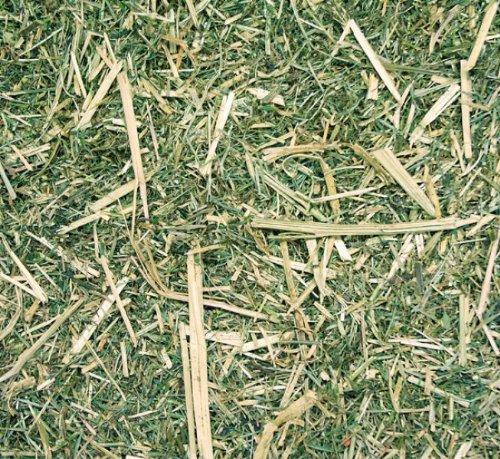 Agrobs Luzerne+, 15 kg