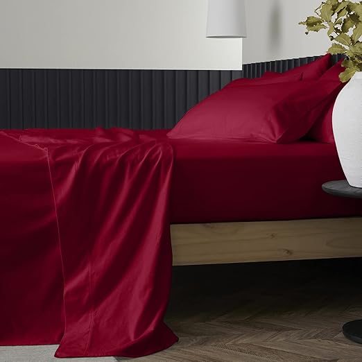 Pure Egyptian Queen Size Cotton Bed Sheets Set (Queen, 1000