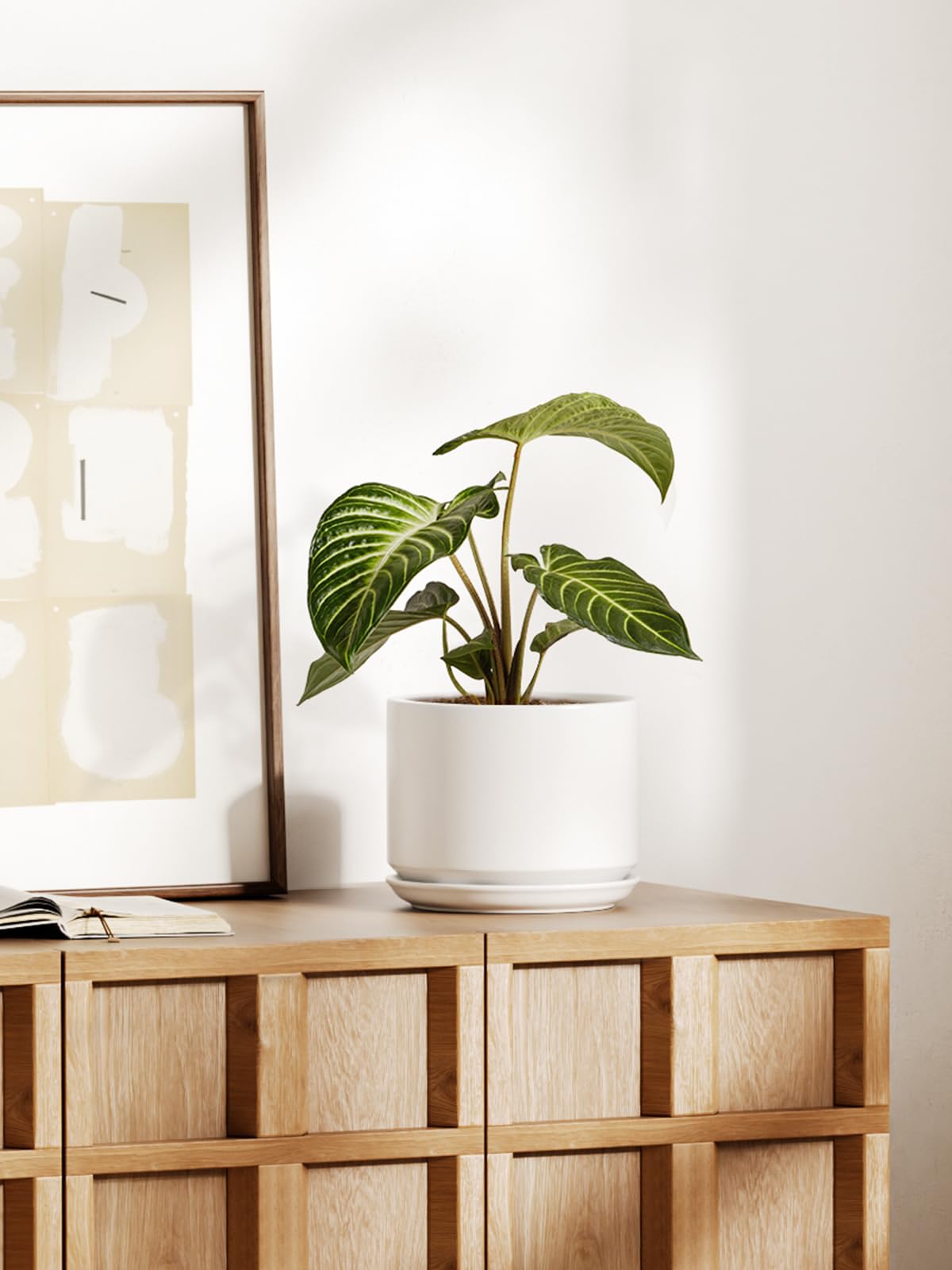 LE TAUCI Keramik Blumentöpfe, 20 cm Übertopf mit Drainageloch & Integrierter Untersetzer, Moderne Minimalistische Pflanzgefäße für Zimmerpflanzen, Weiß