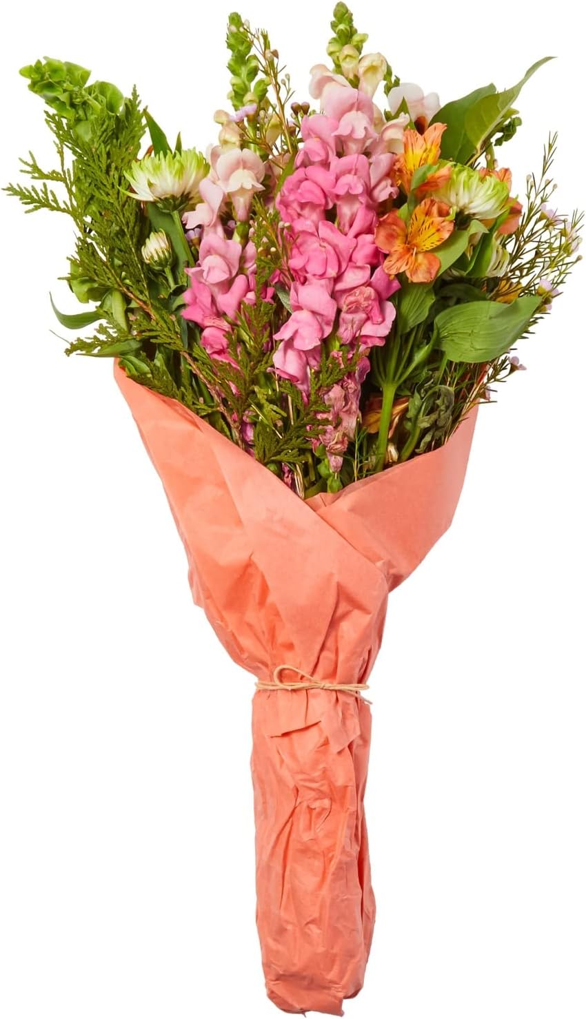 120 Sheets Pastel Tissue Paper for Gift Wrapping Bags, Bulk Set for Art, DIY Crafts, 10 Colors, 20 x 26 in : Health & Household