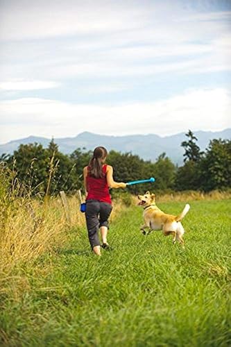Miniatura 7 de Chuckit! Pelotas para perros silbantes, brillantes y rebotantes (2.5 pulgadas) para perros medianos