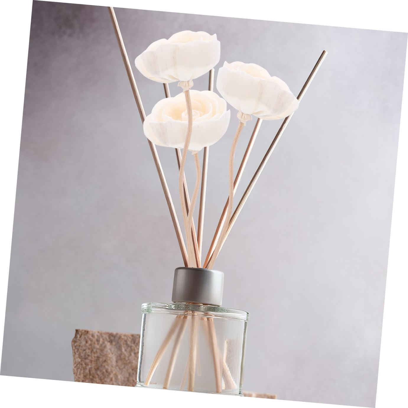 BESPORTBLE 40pezzi Diffusori Rattan Per Essenziali Accessori Per Diffusori Aromatici Naturali
