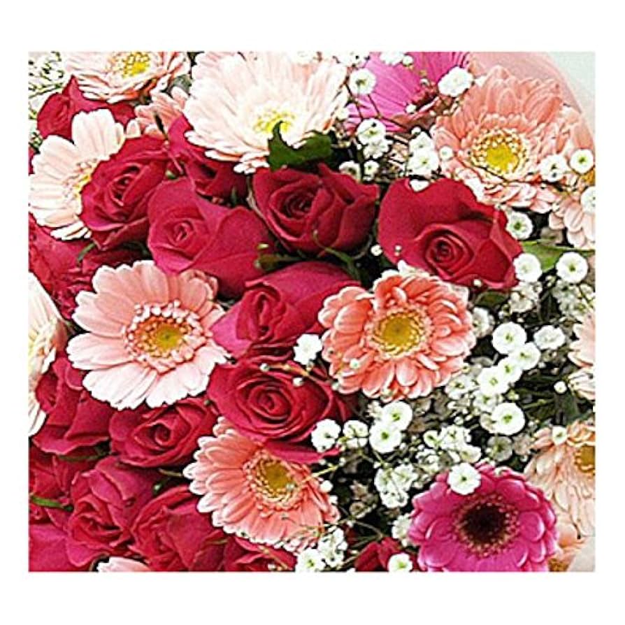 Amazon｜［ビズフラワー］花束 バラとガーベラ バラの色 赤