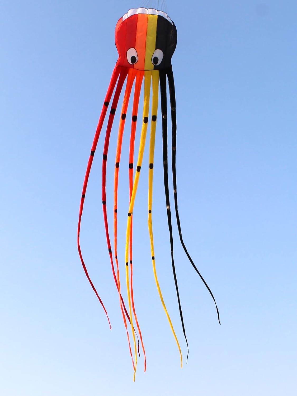 8M Kites - Cometas profesionales gigantes para adultos, cometa de pulpo