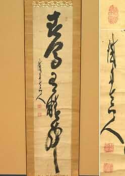 61CmZ8GcFsL._AC_UF350,