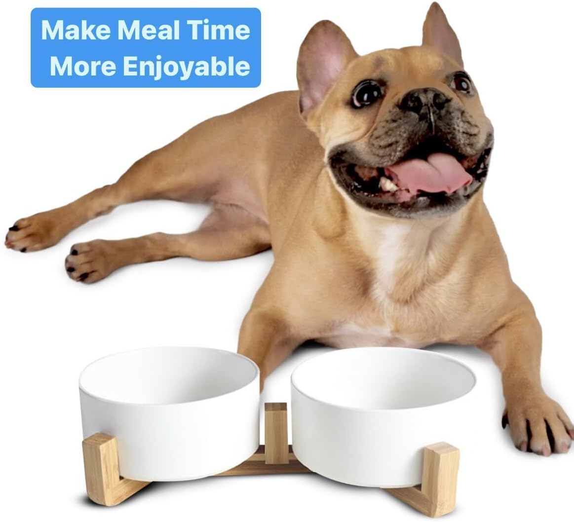 Ceramic Cat and Small Dog Bowl Set – Modern Indoor Small Size Pet Food and Water Bowls with Wood Stand – Non Slip Puppy Sized Feeding Station with Double Dishes - Image 6