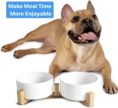 Miniatura 6 de Juego de cuencos de cerámica para gatos y perros pequeños, modernos cuencos para alimentos y agua para mascotas de tamaño pequeño con soporte de