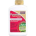 Amazon.com: 565 PLUS XLO - 20 oz. : Patio, Lawn & Garden