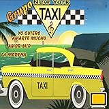 new york taxi medallion  Grupo New York Taxi