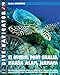 Produktbild Dive-navigator EL QUSEIR, PORT GHALIB, MARSA ALAM, HAMATA: Die besten 61 Tauchplätze südlich von Safaga an der Südgrenze von Ägypten, gehören St. ... Beschreibungen und GPS-Positionen