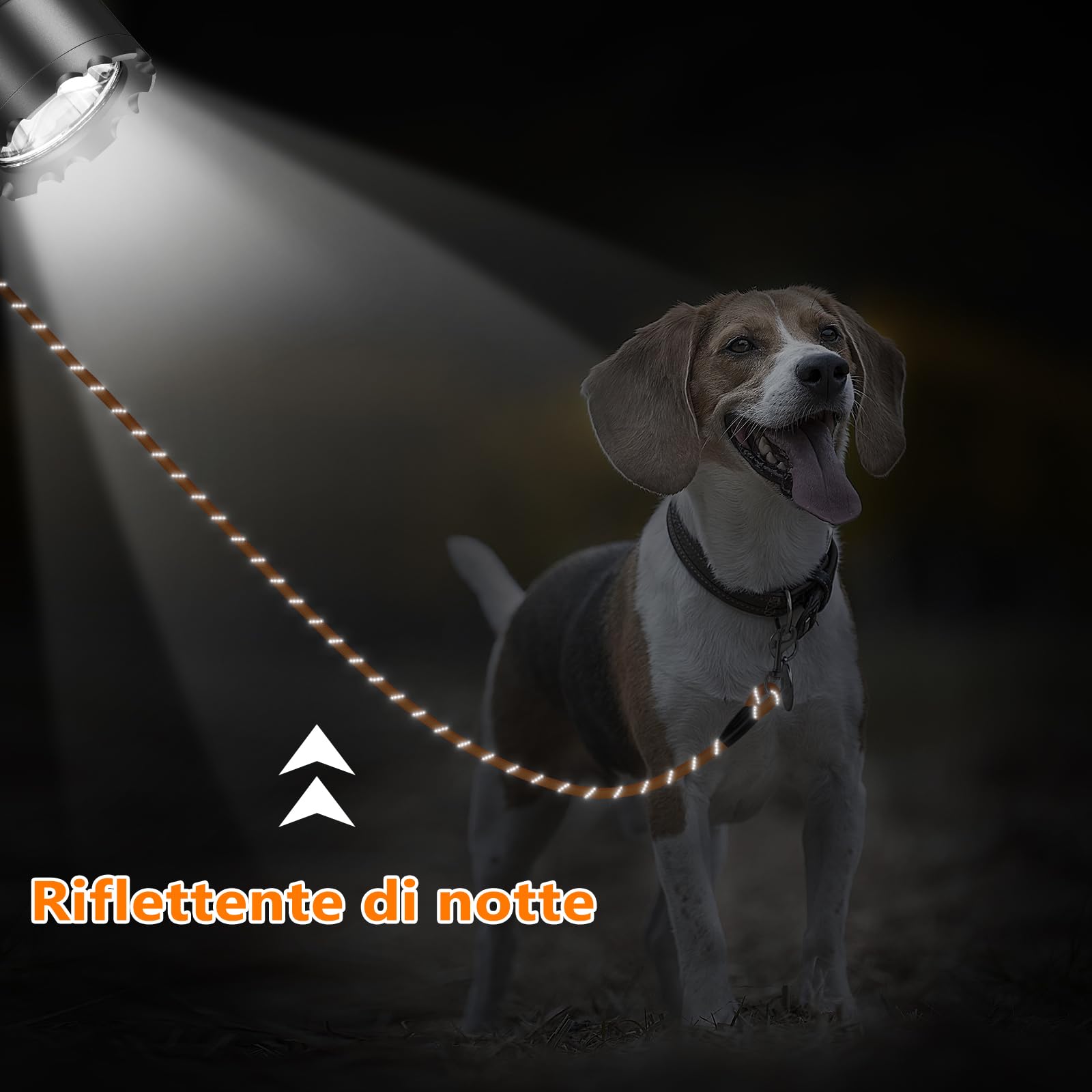 Aystkniet Guinzaglio da Addestramento per Cani, 5M 10M 15M 20M 30M Guinzaglio per Cani con 2 Ganci Girevoli e Fili Riflettenti, Guinzaglio Cane di Taglia Media e Grande, Corda da Legare per Cortile